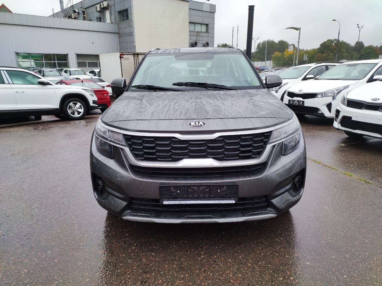 KIA Seltos миниатюра 2